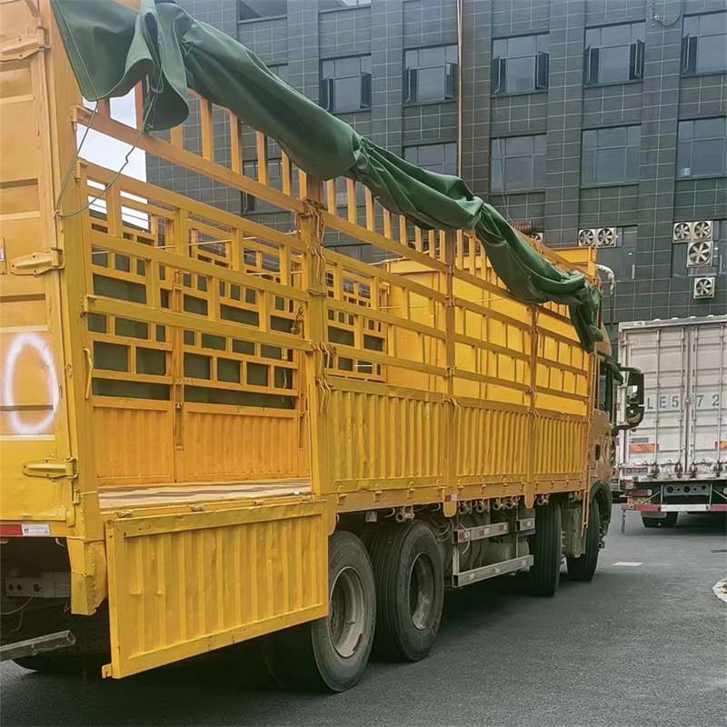 高坪区灵璧县物流运输：多元服务与高效线路探秘