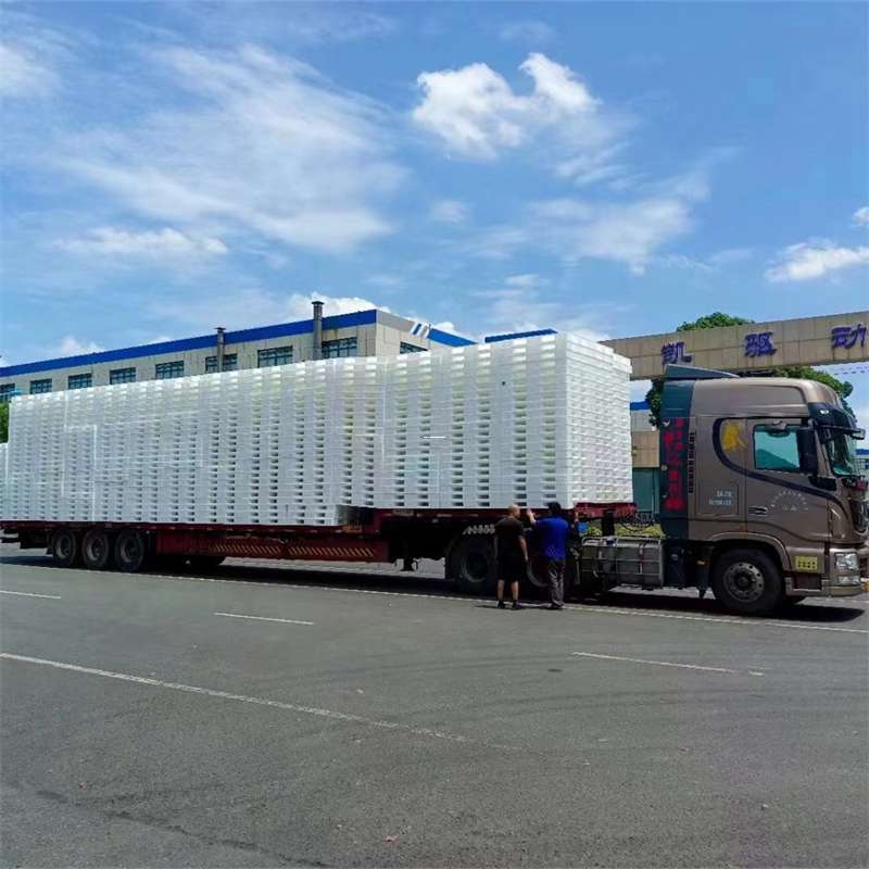 高坪区句容市物流：多元服务与高效运输线路探秘